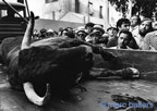 cevennes, divers, les gens,